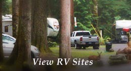 Mounthaven Resort's Mt. Rainier Lodging includes RV Sites