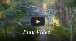 Play video of the Mt. Rainier Lodging at Mount Haven Resort